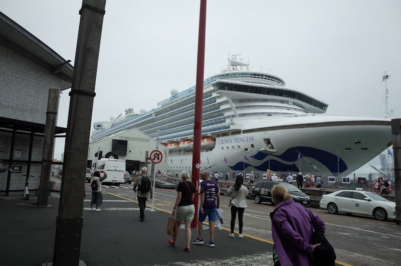 A group of people walking down a street next to a cruise ship