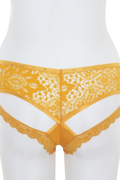 Cut Out Lace Back Hipster – Glamorous Allure in Golden Glow