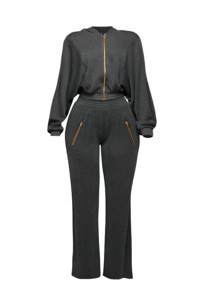 Zipper Closure Hoodie Jacket & Pants Set