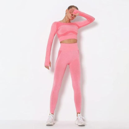 Seamless Long Sleeve Yoga Set      