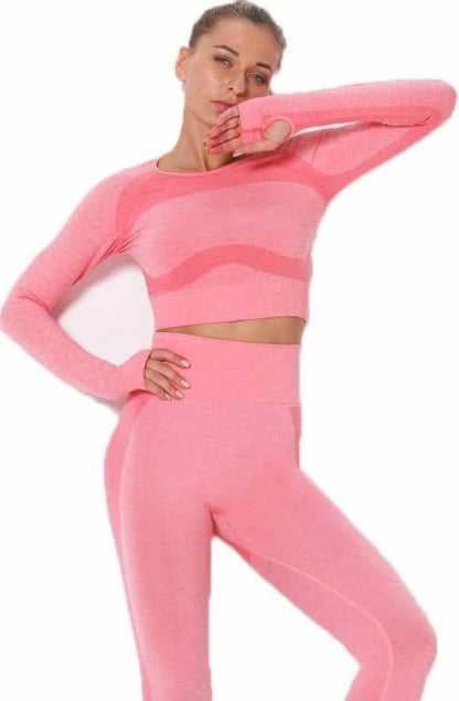 Seamless Long Sleeve Yoga Set      