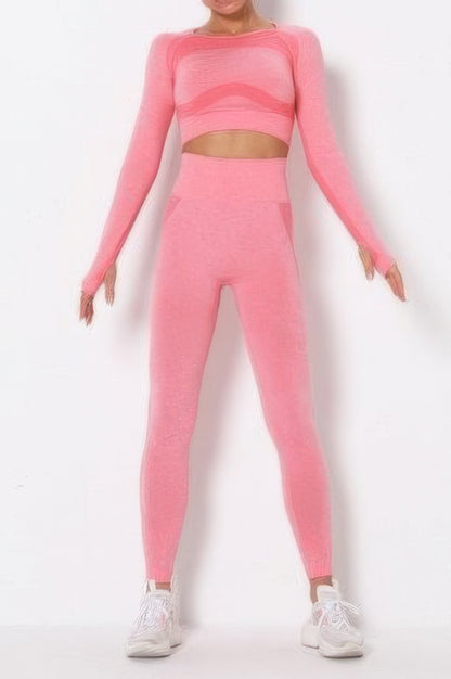 Seamless Long Sleeve Yoga Set      