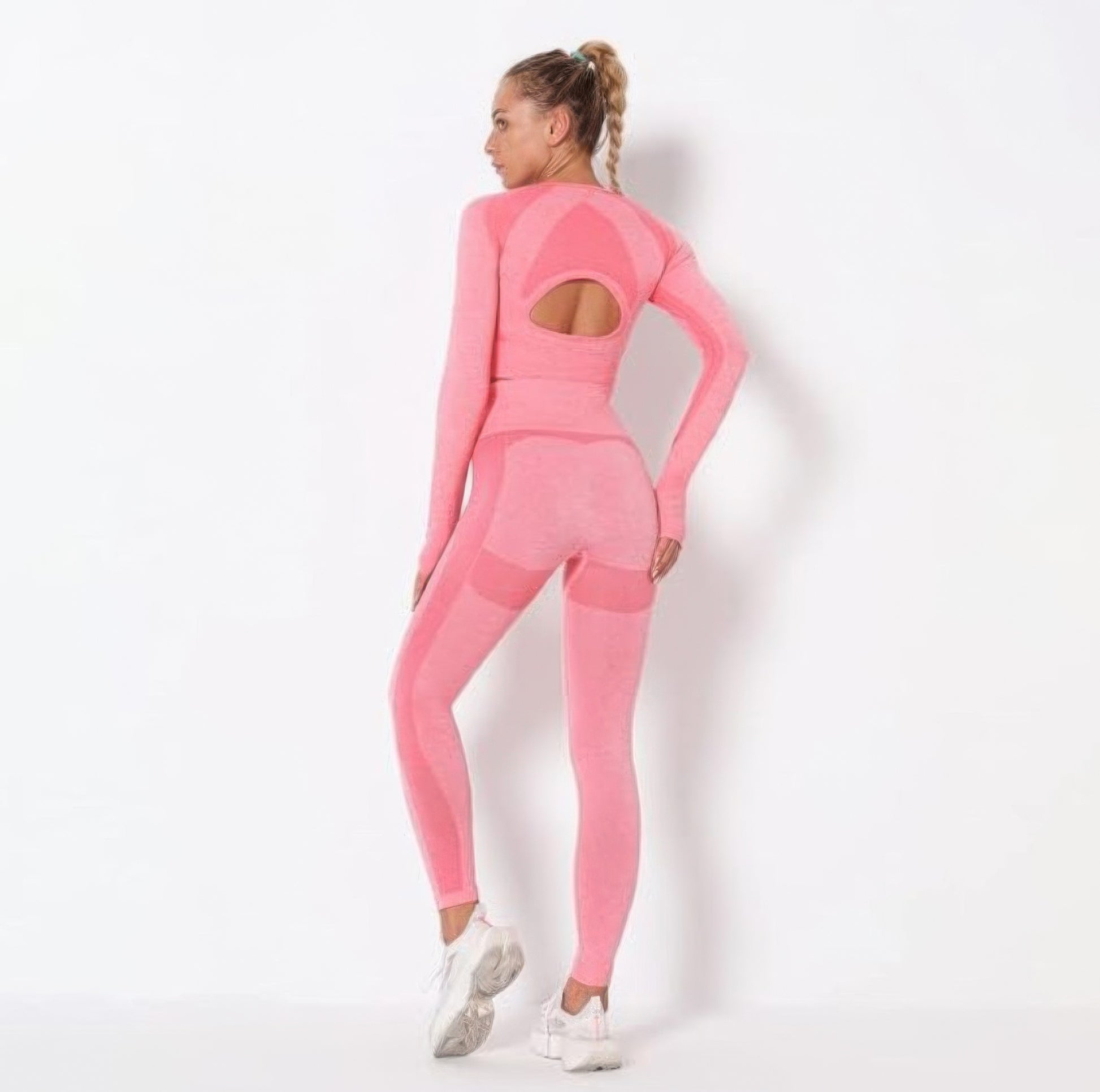 Seamless Long Sleeve Yoga Set      