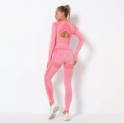 Seamless Long Sleeve Yoga Set      