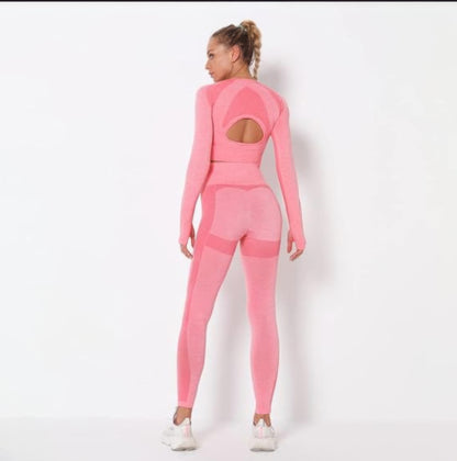 Seamless Long Sleeve Yoga Set      