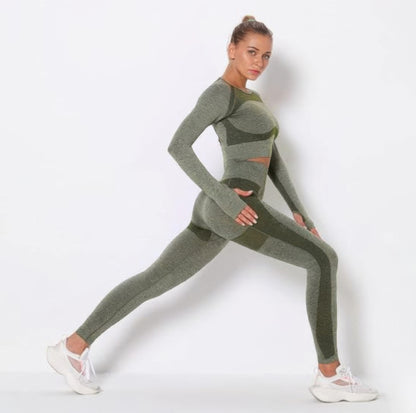 Seamless Long Sleeve Yoga Set         