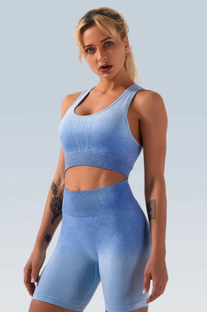 Ombre Seamless Two Piece Set        