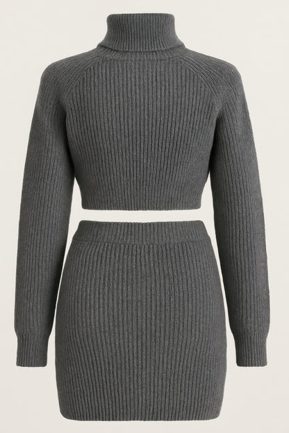 Knit Mock Neck Top And Skirt        