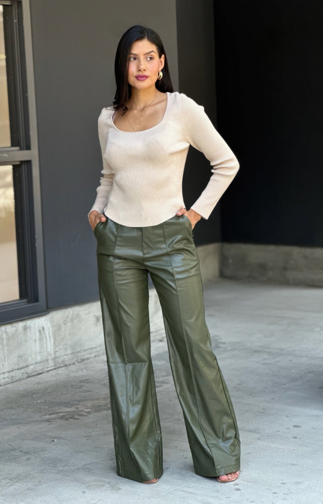 Front Pleated Faux Leather Wide Leg Pants      