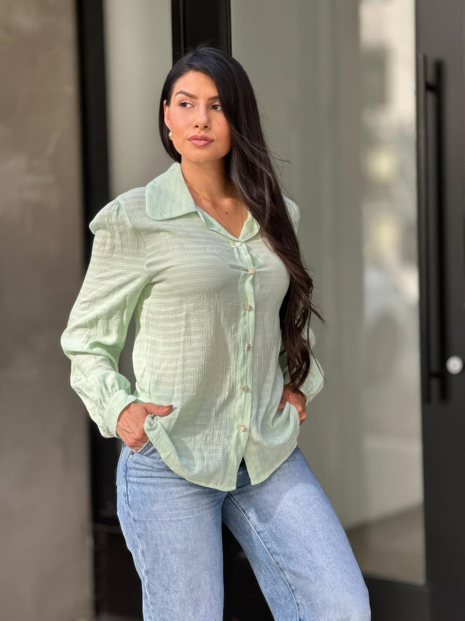 Collar Button Down Rhine Stone Detail Blouse      