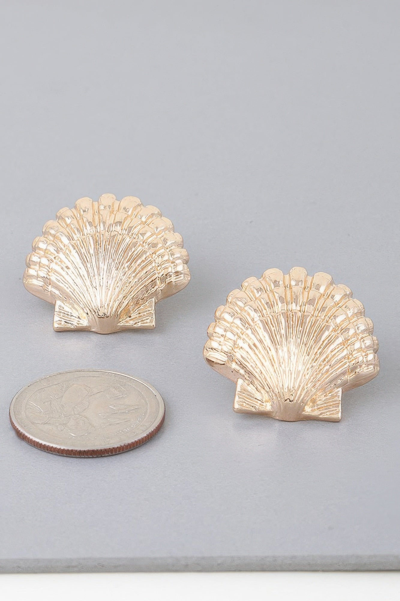 Majestic Clamshell Earrings