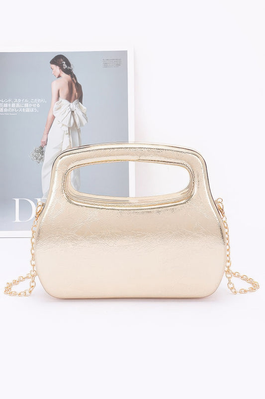 Metallic Case Bag