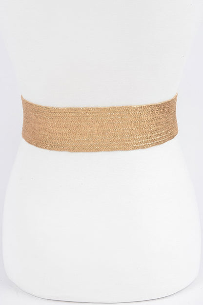 Wide Metal Buckle Clear Belt