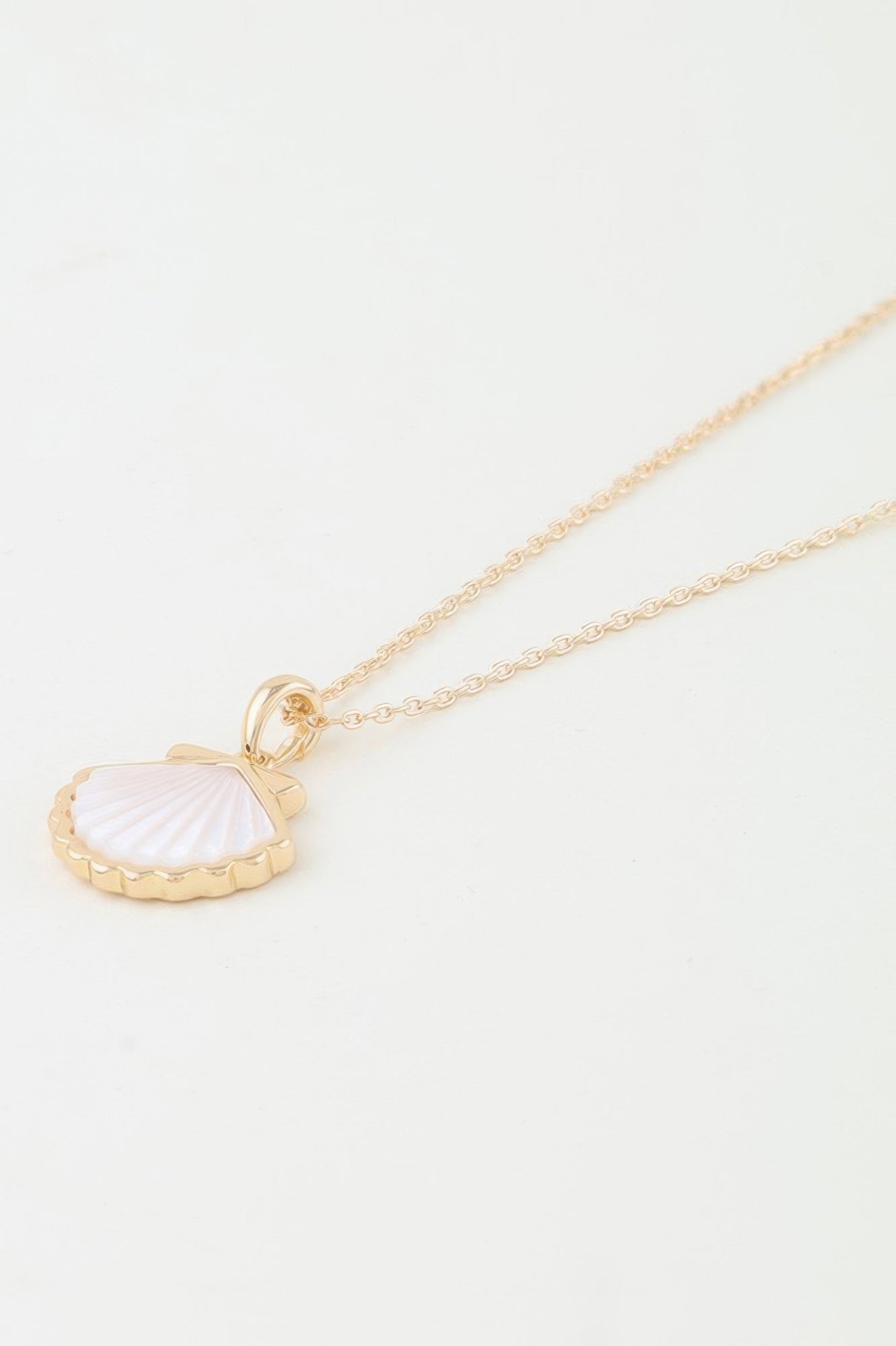 Classic Seashell Pendant Necklace