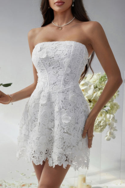 Solid Lace Up Lace Mini Fit Tube Dress