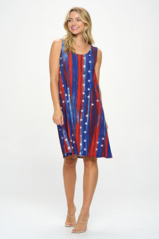 BNS Missy Tank Dress