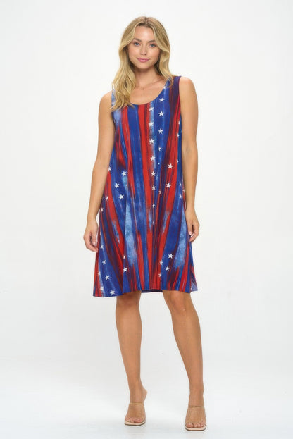 BNS Missy Tank Dress