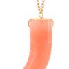Elongated Horn Pendant Necklace – Stone Colors
