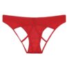 Caged Underwear with Strappy Detail – Salasa