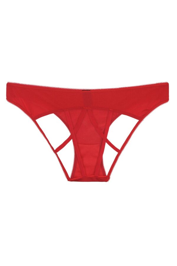 Caged Underwear with Strappy Detail – Salasa