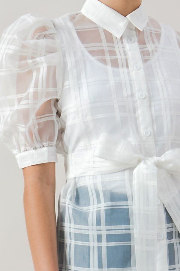 Sheer Organza Mini Top with Puff Sleeves – White