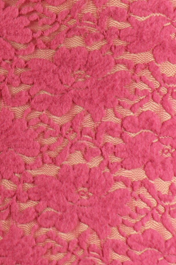 Plus Size Sheer Lace Fitted Top – Rose