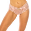 Lace Hipster Panty – Delicate Silver Pink Lace