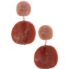 Acetate Resin Double Circle Earrings – Earth Tones