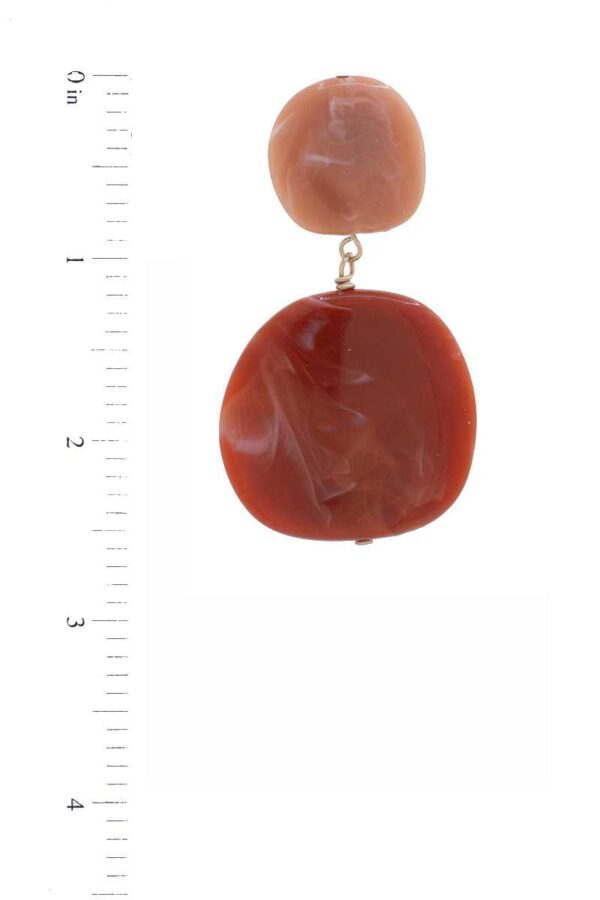 Acetate Resin Double Circle Earrings – Earth Tones