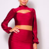 Puff Sleeve Cutout Turtleneck Top & Ruched Garter Mini Set – Wine