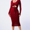 Front Shirring Cut-Out Long-Sleeve Dress in Burgundy