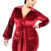 Plus Velvet Bishop-Sleeve Mini Dress – Burgundy