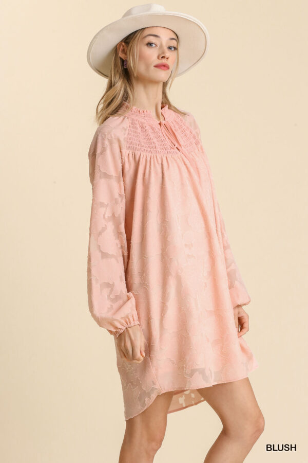Jacquard Raglan Smocked Tie-Neck Dress – Blush