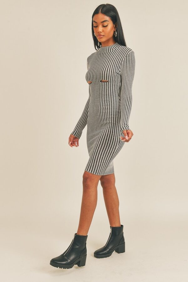 Long Sleeve Stripe Print Midi Dress – Black/White