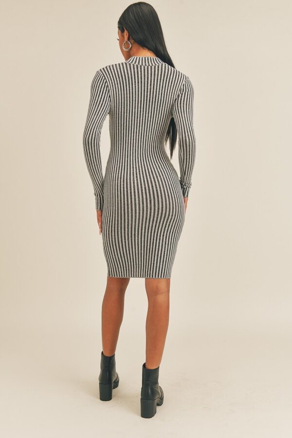 Long Sleeve Stripe Print Midi Dress – Black/White