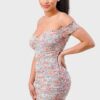 Floral Mesh Sweetheart Ruffle Off-Shoulder Mini Dress – Light Blue