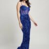 Cecily Velvet Corset Maxi Dress – Royal Blue