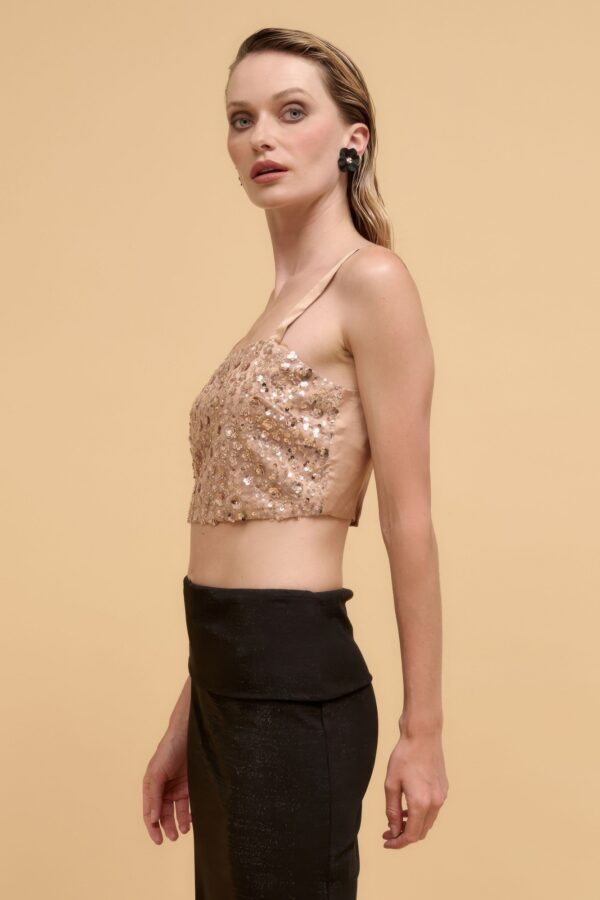 Rose Gold Floral Sequin Crop Top – Straight Neck