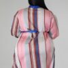 Long-Sleeve Non-Stretch Plus-Size Dress – Brown/Blue