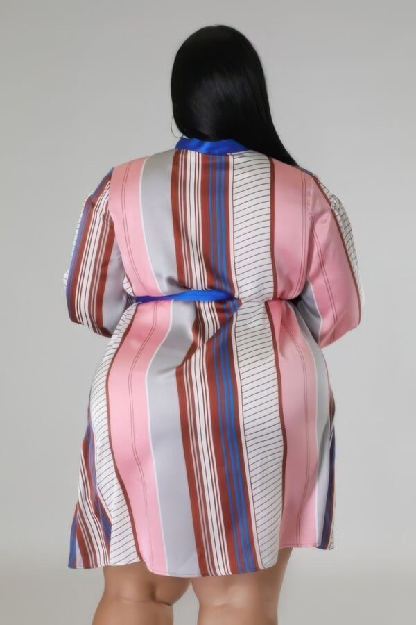 Long-Sleeve Non-Stretch Plus-Size Dress – Brown/Blue