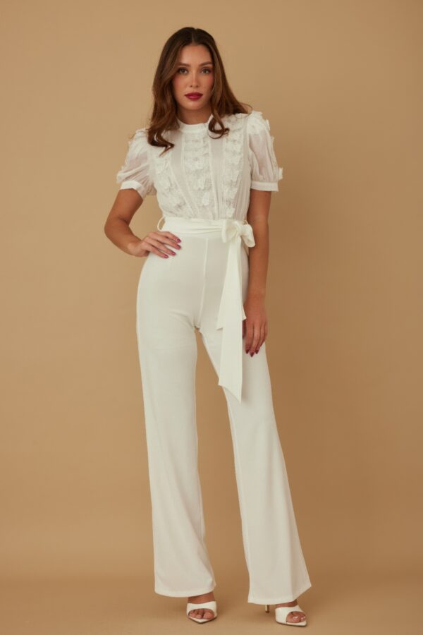 Sheer Multi-Butterfly Lace Jumpsuit with Ribbon Waist