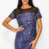Sparkle Sequin Mesh Cap Sleeve Mini Dress