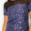 Sparkle Sequin Mesh Cap Sleeve Mini Dress