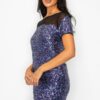 Sparkle Sequin Mesh Cap Sleeve Mini Dress