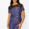 Sparkle Sequin Mesh Cap Sleeve Mini Dress