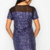 Sparkle Sequin Mesh Cap Sleeve Mini Dress