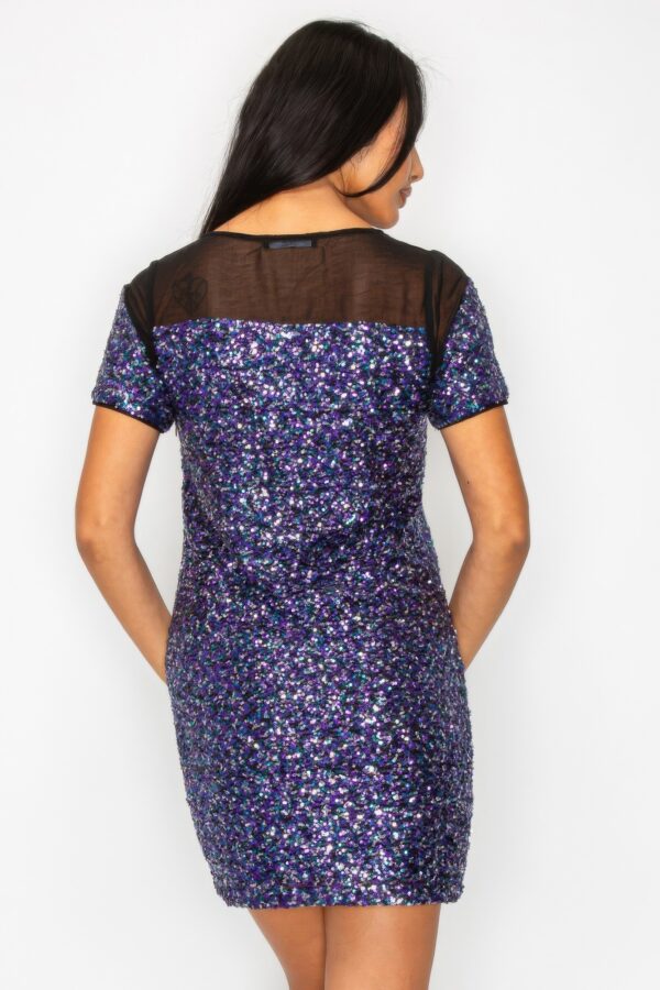 Sparkle Sequin Mesh Cap Sleeve Mini Dress
