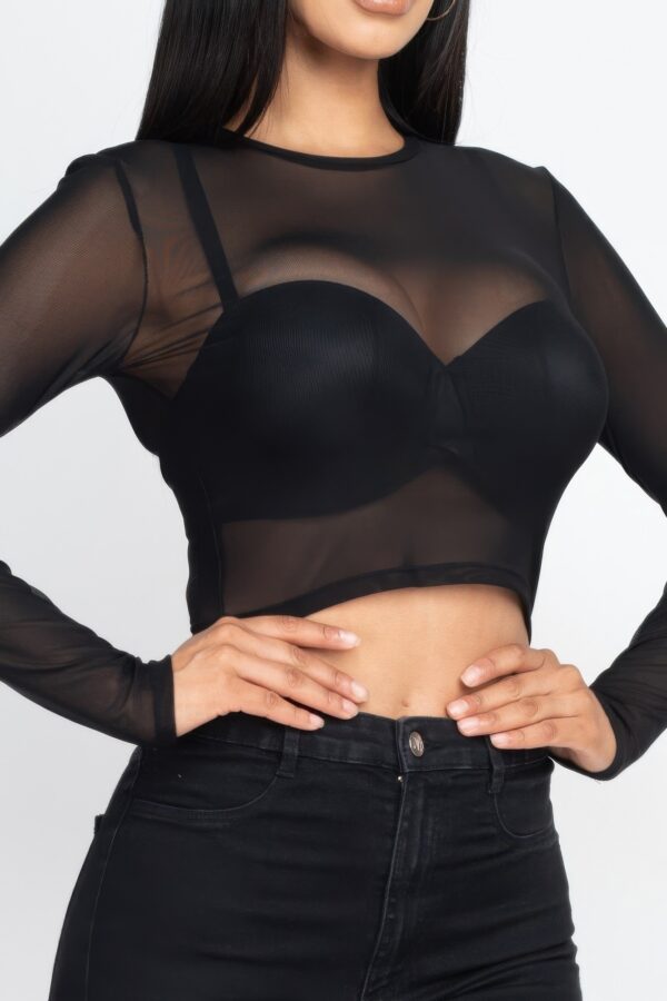 Sheer Mesh Long-Sleeve Crop Top – Edgy Layering