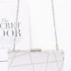 Metal Case Metallic Clutch with Chain Strap – Gold/Silver