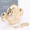 Acrylic Case Bag – Chain Strap Clutch in Gold or Silver